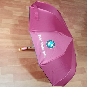 BMW Windproof 10 Sticks Auto Open and Close Umbrella